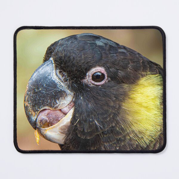 Item preview, Black Cockatoo designed and sold by Stephen Jolly.