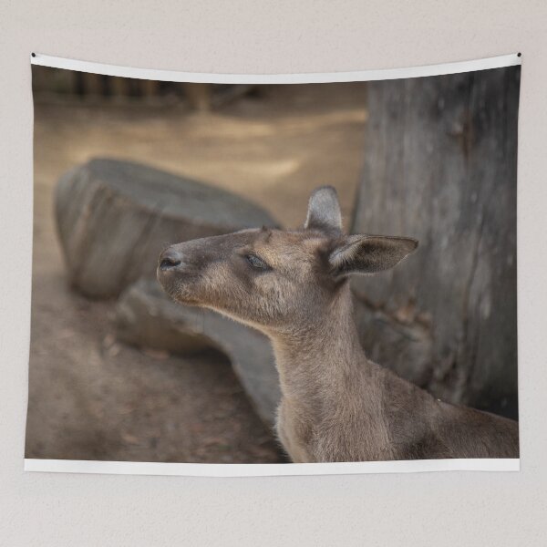 Item preview, Chilling Roo designed and sold by Stephen Jolly.