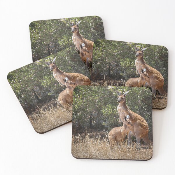 Item preview, Mother and her Joey designed and sold by Stephen Jolly Photography.