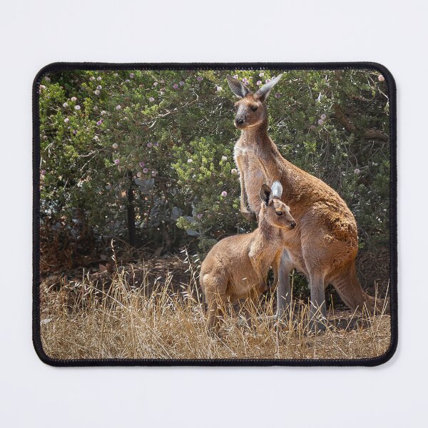 Item preview, Mother and her Joey designed and sold by Stephen Jolly.