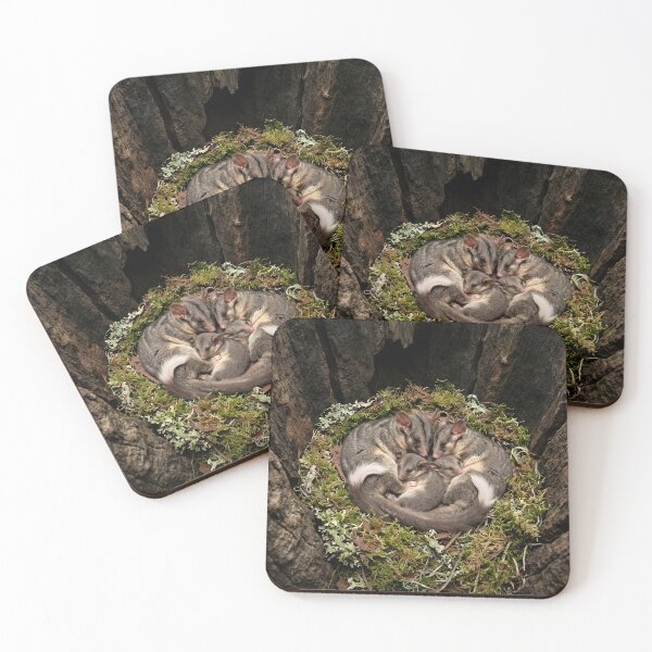 Item preview, Leadbeaters Possum designed and sold by pawprintz.