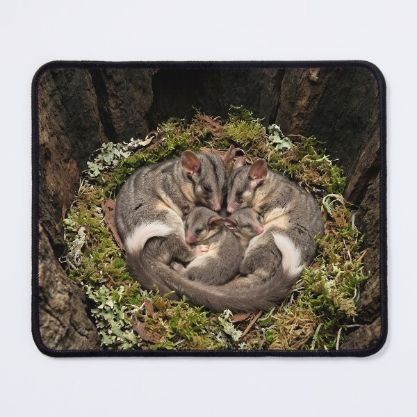 Item preview, Leadbeaters Possum designed and sold by pawprintz.