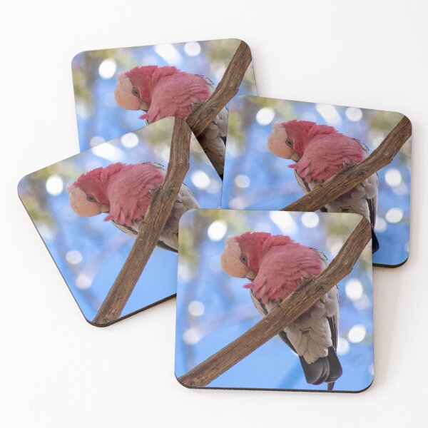 Item preview, Preening Galah designed and sold by Stephen Jolly Photography.