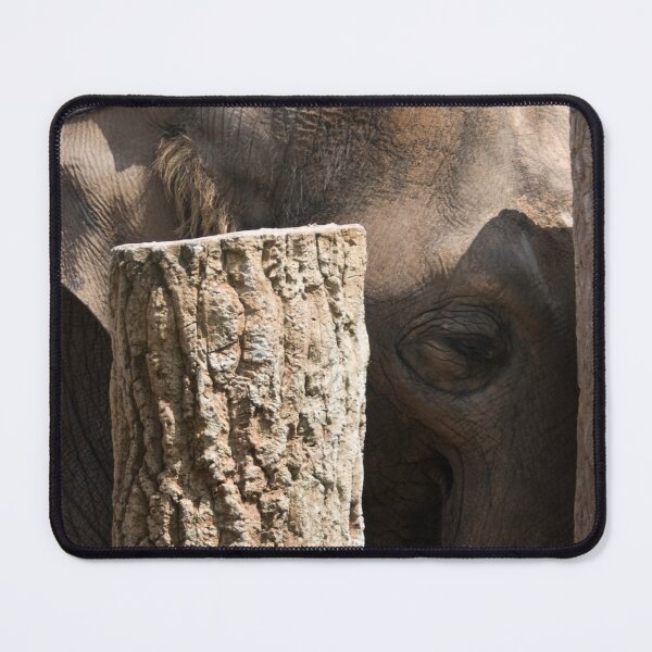 Item preview, Elephant Close-Up. Majestic Wildlife Portrait designed and sold by CCWorkfloor.
