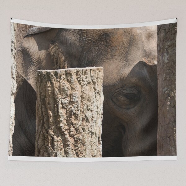 Item preview, Elephant Close-Up. Majestic Wildlife Portrait designed and sold by CCWorkfloor.