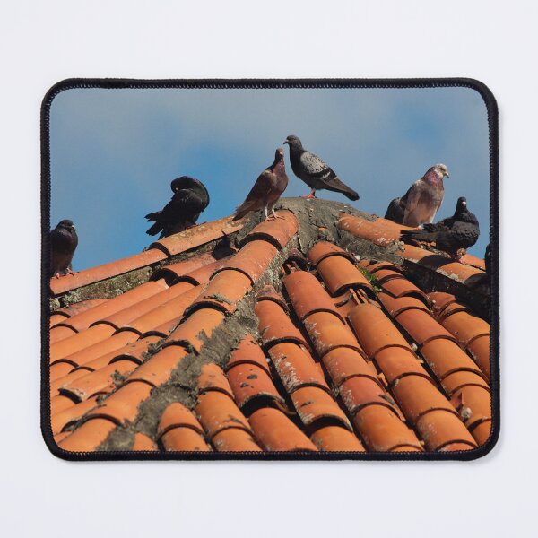 Item preview, Flock of Pigeons Perched on an Orange Clay Tile Roof designed and sold by ThaCriações.