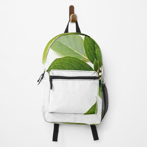 Item preview, Fresh Green Lime with Leaves – Premium Minimalist Photo designed and sold by profustock.