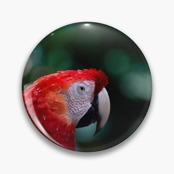 Item preview, Scarlet Macaw Portrait in Tropical Rainforest designed and sold by ThaCriações.