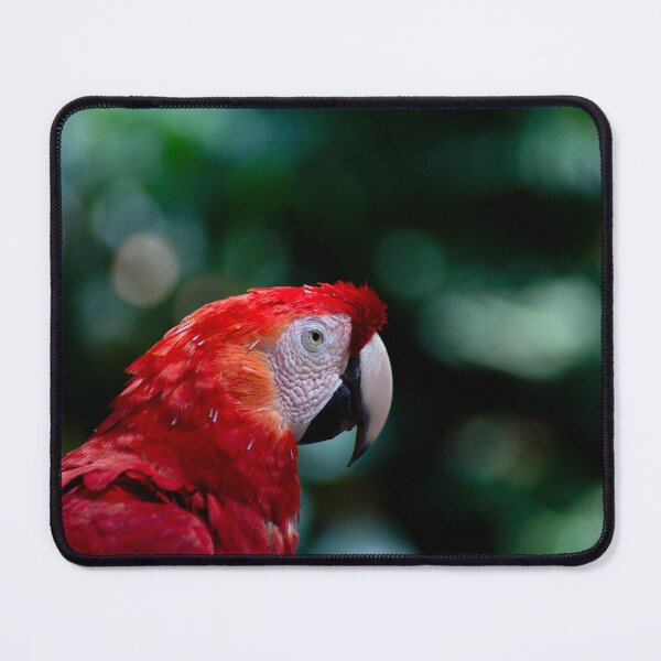 Item preview, Scarlet Macaw Portrait in Tropical Rainforest designed and sold by ThaCriações.