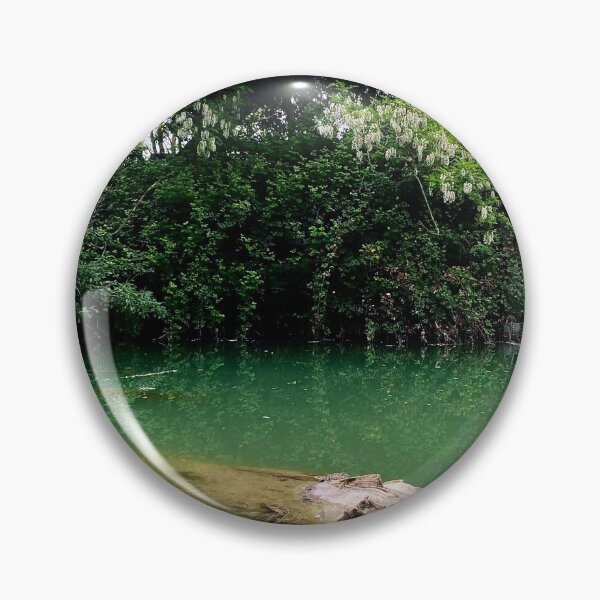 Item preview, Green trunk designed and sold by ekhainphoto.