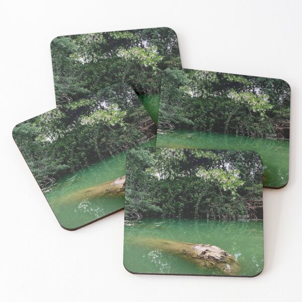 Item preview, Green trunk designed and sold by ekhainphoto.