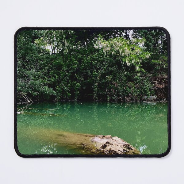 Item preview, Green trunk designed and sold by ekhainphoto.
