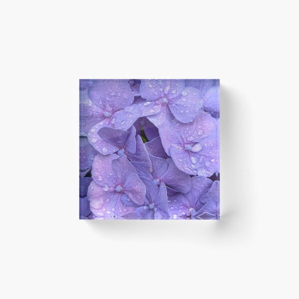 Item preview, Hydrangea 2 designed and sold by Tokimaru63.