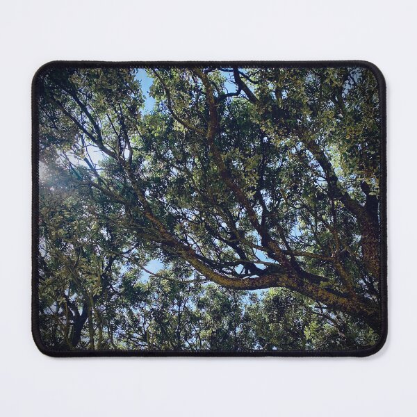 Item preview, Composition of branches and lights designed and sold by ekhainphoto.