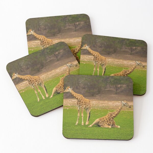 Item preview, Juvenile Giraffes  designed and sold by Stephen Jolly Photography.