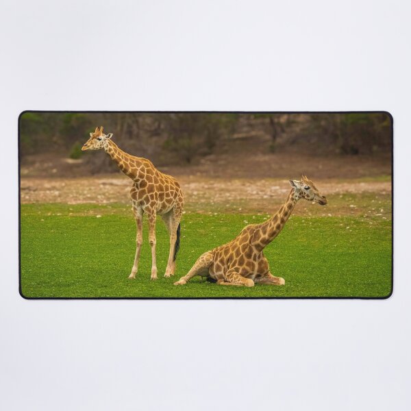 Item preview, Juvenile Giraffes  designed and sold by Stephen Jolly.