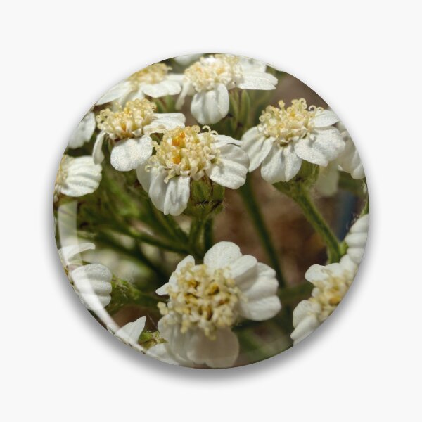 Item preview, Tiny White Wildflowers designed and sold by Betsy Phillips.