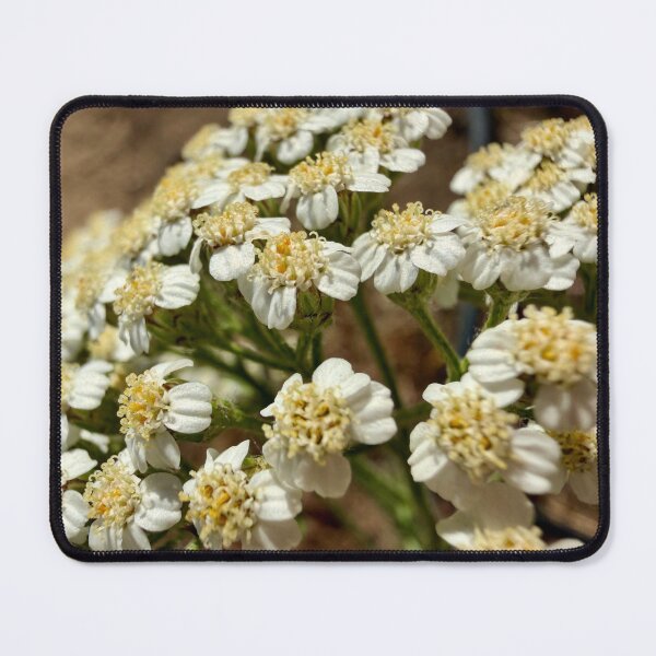 Item preview, Tiny White Wildflowers designed and sold by Betsy Phillips.