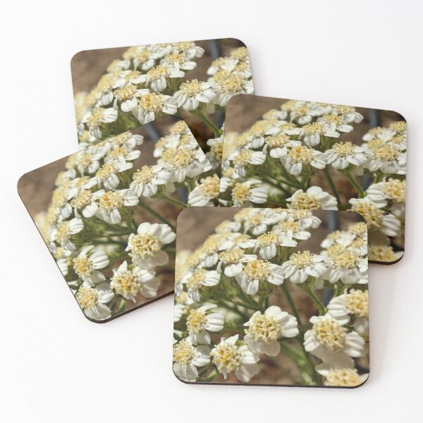 Item preview, Tiny White Wildflowers designed and sold by Betsy Phillips.