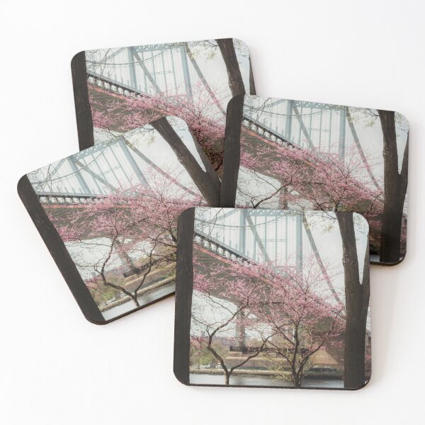 Item preview, Astoria Park in the Spring designed and sold by ashleybravickphoto.