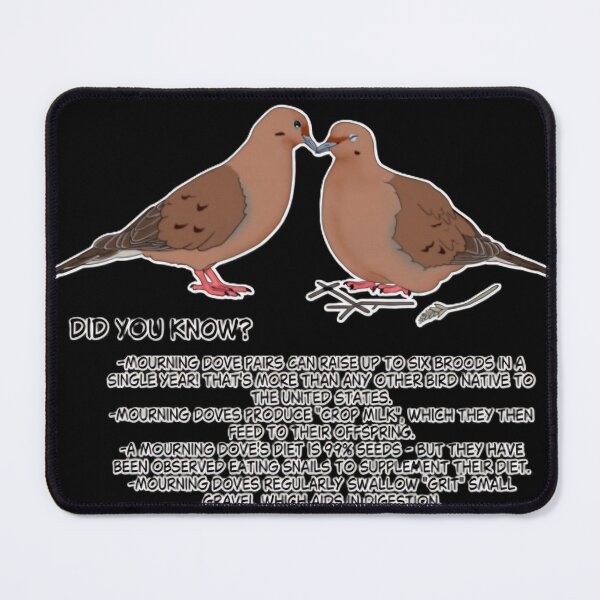 Item preview, Mourning Dove Fun Facts designed and sold by MysteryKois.