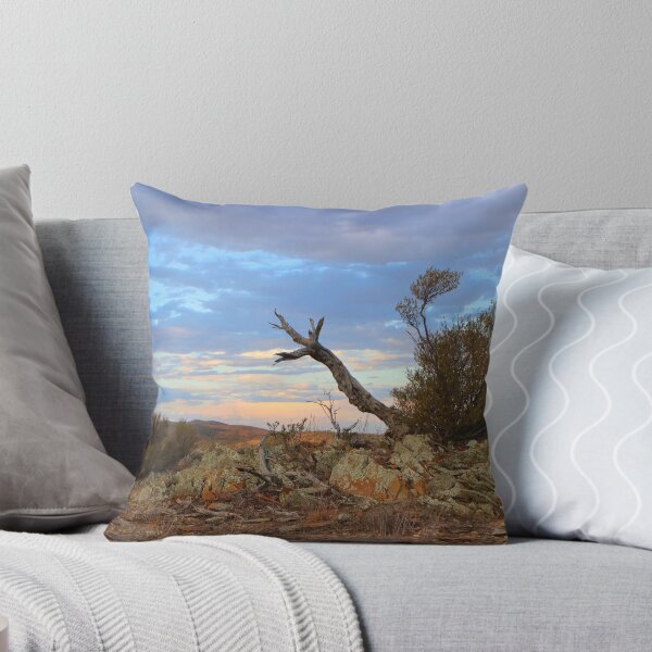 Item preview, Nature's sculpture, Bendleby Ranges, Australia designed and sold by FranWest.