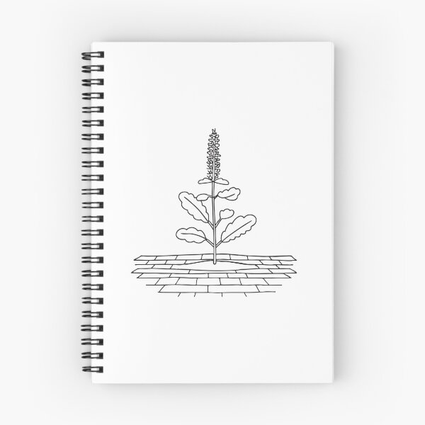 Item preview, Tulsi Plant Growing on Brick Floor designed and sold by rasagamastore.