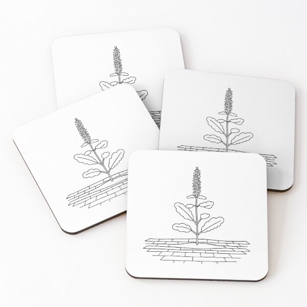 Item preview, Tulsi Plant Growing on Brick Floor designed and sold by rasagamastore.