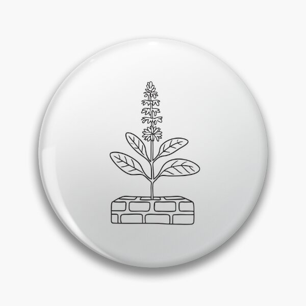 Item preview, Tulsi Plant Sprouting on Brick Platform designed and sold by rasagamastore.