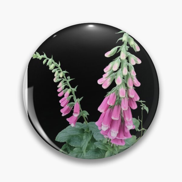 Item preview, Foxgloves In Holmfirth  designed and sold by Daisy Lane Gifts UK.