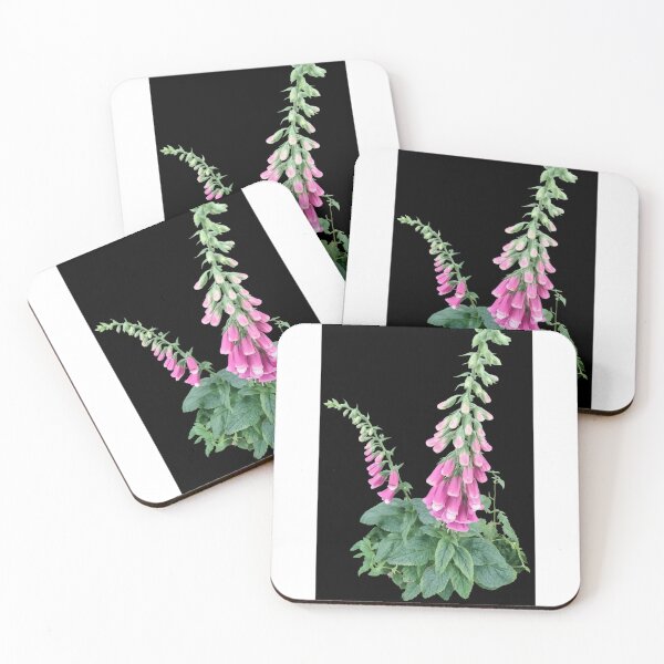 Item preview, Foxgloves In Holmfirth  designed and sold by Daisy Lane Gifts UK.