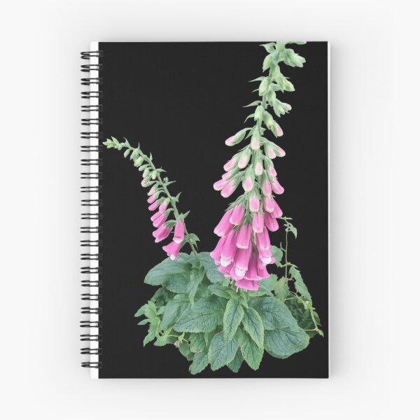 Item preview, Foxgloves In Holmfirth  designed and sold by Daisy Lane Gifts UK.