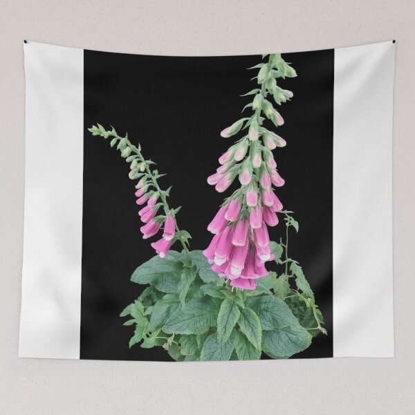 Item preview, Foxgloves In Holmfirth  designed and sold by Daisy Lane Gifts UK.