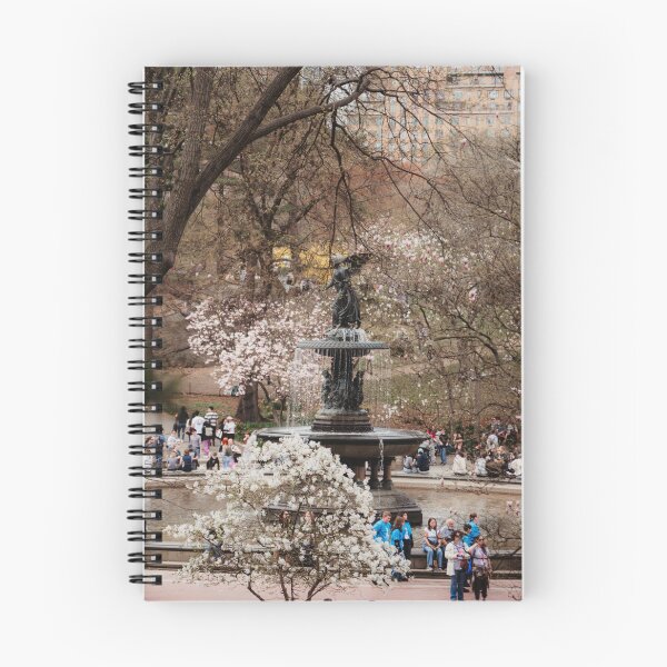 Item preview, Bethesda Fountain designed and sold by ashleybravickphoto.
