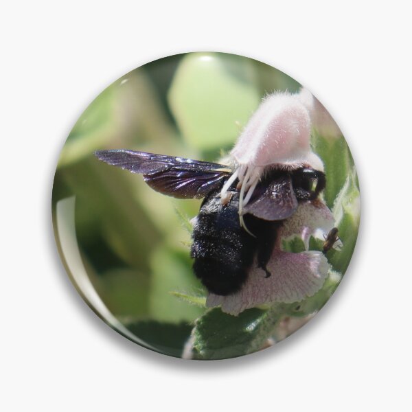 Item preview, Insect feeding on nectar from a flower designed and sold by L'Atelier d'Aimee.