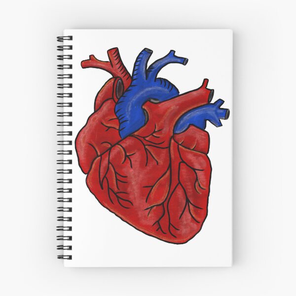 Item preview, Anatomical Heart Study Medical Art designed and sold by DoodlingMissy.