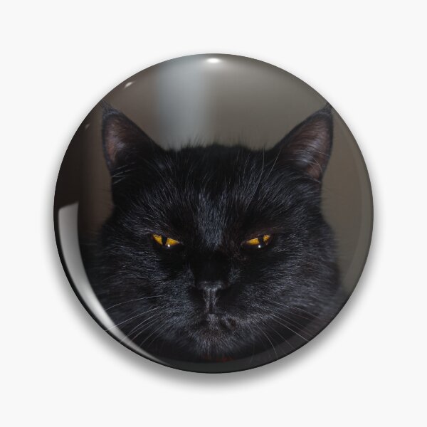 Item preview, Mysterious Black Cat with Yellow Eyes designed and sold by EllenNortt.