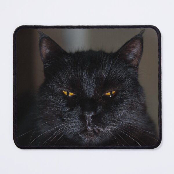 Item preview, Mysterious Black Cat with Yellow Eyes designed and sold by EllenNortt.