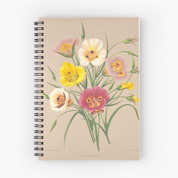 Item preview, Mariposa Lily Flowers | Botanical Art designed and sold by GammaRay.
