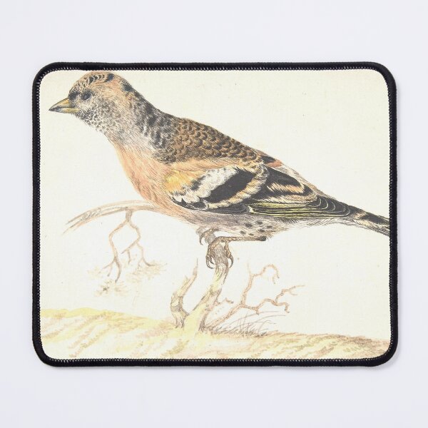 Item preview, Bramling Bird Portrait | Bird Art designed and sold by GammaRay.
