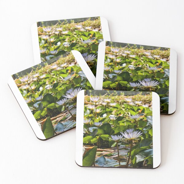 Item preview, Nature's beauty with white lotus. designed and sold by TruptiLokhande7.
