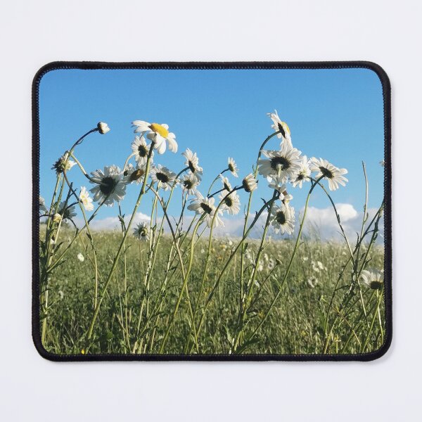 Item preview, Dancing Daises designed and sold by Murph's Images.