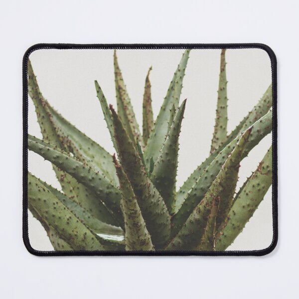 Item preview, Minimalist Aloe White Space designed and sold by ReneJordaan.