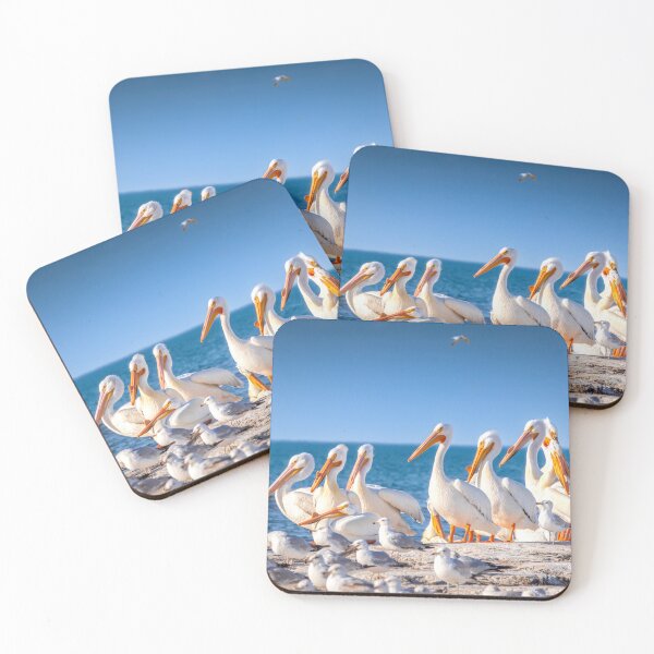 Item preview, Great White Pelicans on Lake Michigan in Sheboygan closeup designed and sold by TerraMediaLLC.