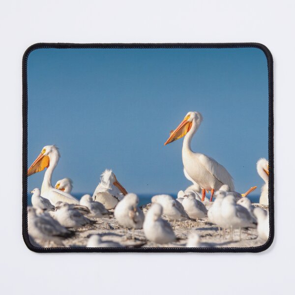 Item preview, Great White Pelicans on Lake Michigan in Sheboygan zoomed designed and sold by TerraMediaLLC.