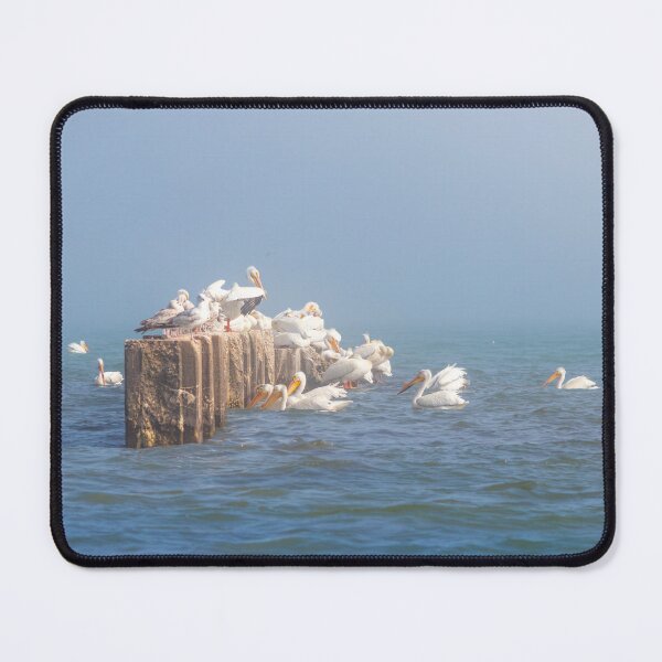 Item preview, Great White Pelicans on misty jetty on Lake Michigan in Sheboygan designed and sold by TerraMediaLLC.