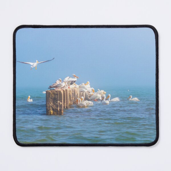 Item preview, Copy of Great White Pelicans on misty jetty on Lake Michigan in Sheboygan designed and sold by TerraMediaLLC.