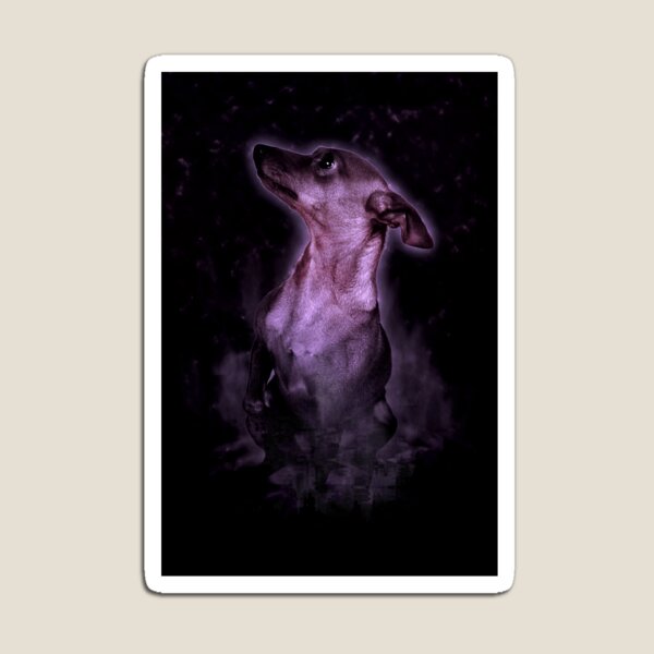 Smokey Dog Magnet