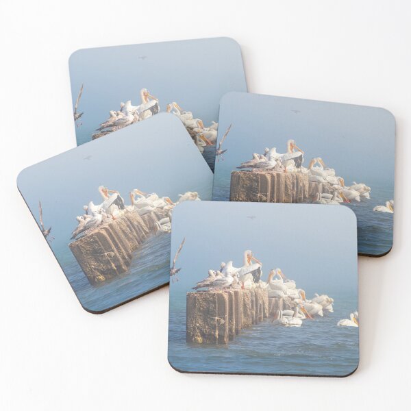 Item preview, Great White Pelicans and gulls on misty jetty on Lake Michigan in Sheboygan  designed and sold by TerraMediaLLC.