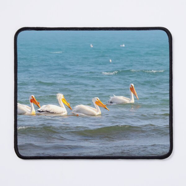 Item preview, Great White Pelicans and gulls on misty jetty on Lake Michigan in Sheboygan designed and sold by TerraMediaLLC.